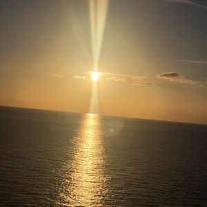 Meet your Posher, Marilyn